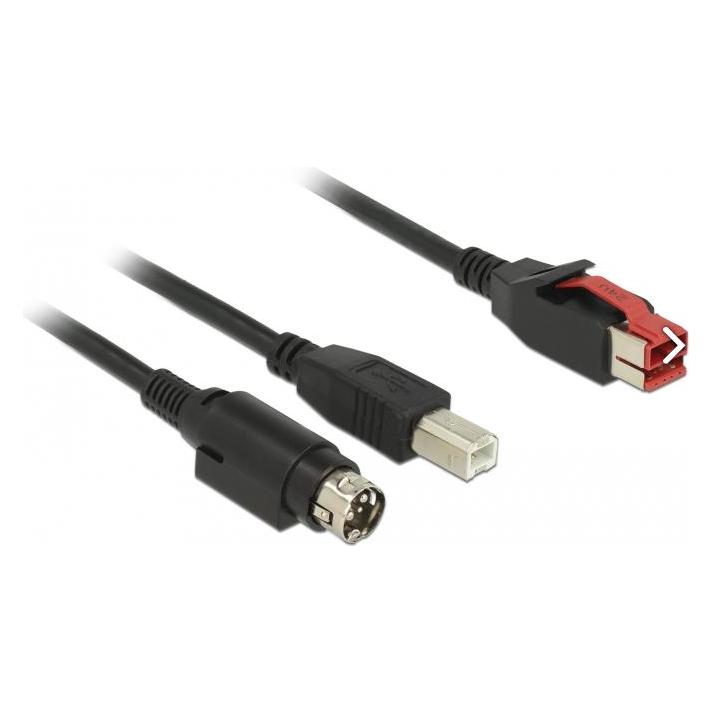 Delock 85487 PoweredUSB Kabel Stecker 24 V (1 m, USB 2.0) (85487)