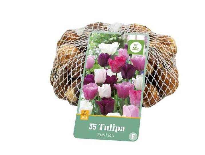 Tulp pastel mix 35 bollen