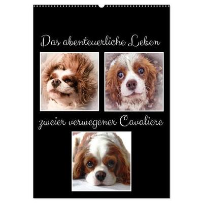 Das abenteuerliche Leben zweier verwegener Cavaliere (Wandkalender 2027 DIN A2 hoch), CALVENDO Monatskalender