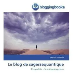 Le blog de sagessequantique, Ratgeber von Laroche Sandrine
