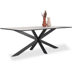 Esstisch ZEPHYR (BHT 200x76x100 cm) - BHT 200x76x100 cm
