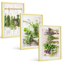 BILDER SET 3er Set - 40x60 cm Goldrahmen - Kräuterpflanzen für die Küche