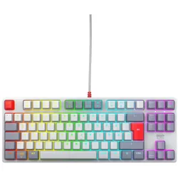 CHERRY Xtrfy K4V2 TKL, Retro, grau, LEDs RGB, MX2A RGB RED, USB, DE