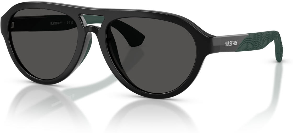 Sonnenbrille Burberry JB 4005U (300187)