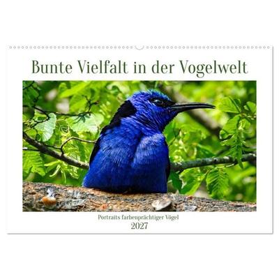 Bunte Vielfalt in der Vogelwelt (Wandkalender 2027 DIN A2 quer), CALVENDO Monatskalender