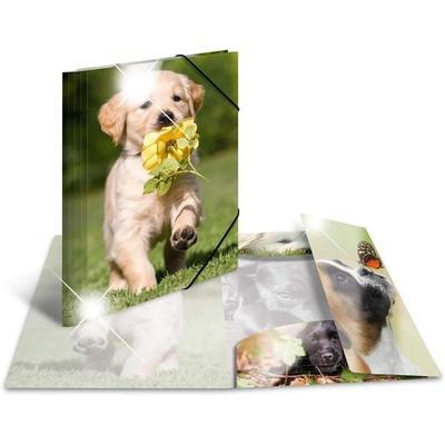 Herma Sammelmappe A4 Tiere - Hunde