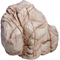 Hobby Sandstone Rock 4 - Dekoration für Aquarium und Terrarium