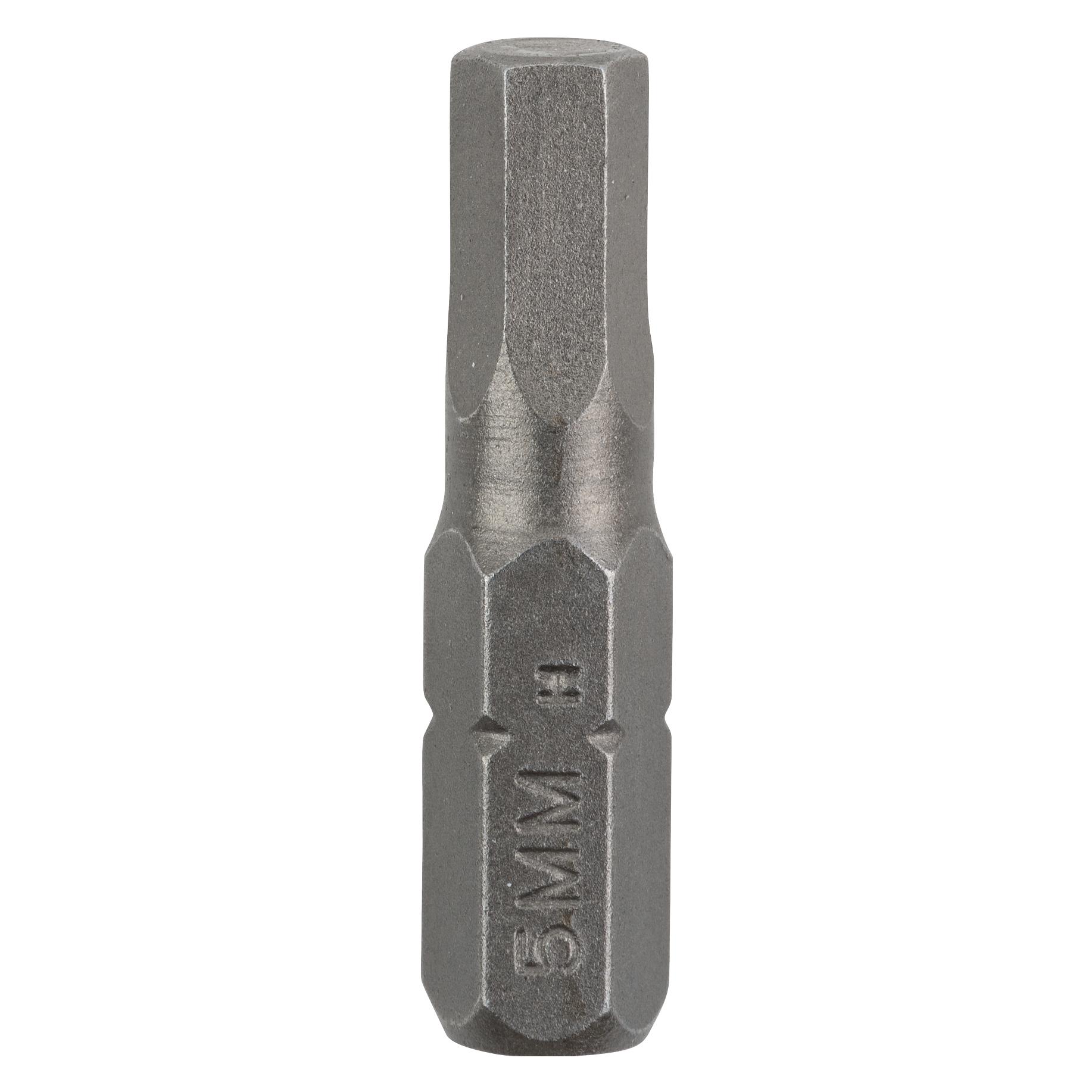 Bosch Zubehör Schrauberbit Standard HEX (2609255951)