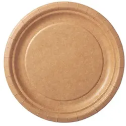 240x DUNI Pappteller Ø 18 cm Braun