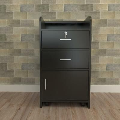 karlinc P2 Particle Board 2 Drawers 1 Door 3 Air Ducts Salon Cabinet Black - N/A