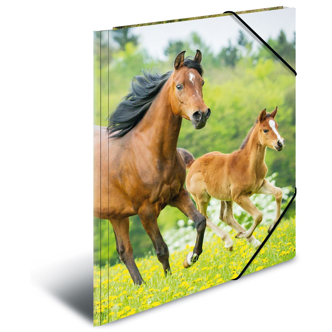 Herma Eckspannermappe "Pferde", aus PP, DIN A4