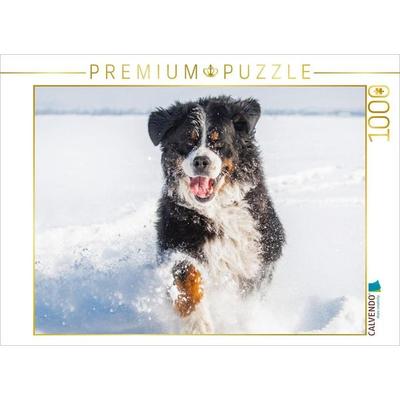 CALVENDO Puzzle Berner Sennenhund in seinem Element | 1000 Teile Lege-Größe 64x48cm Foto-Puzzle für glückliche Stunden