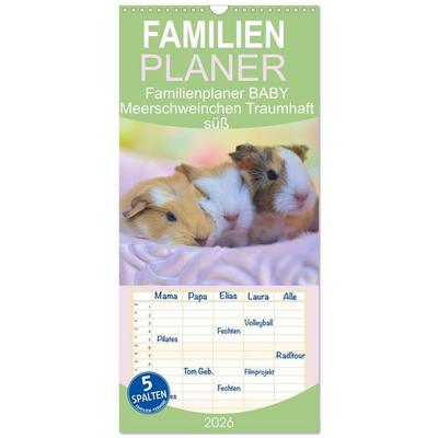 Familienplaner 2026 - Familienplaner BABY Meerschweinchen Traumhaft süß mit 5 Spalten (Wandkalender, 21 x 45 cm) CALVENDO
