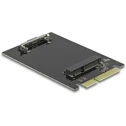 DELOCK SATA 22 Pin Stecker zu mSATA Slot Adapter