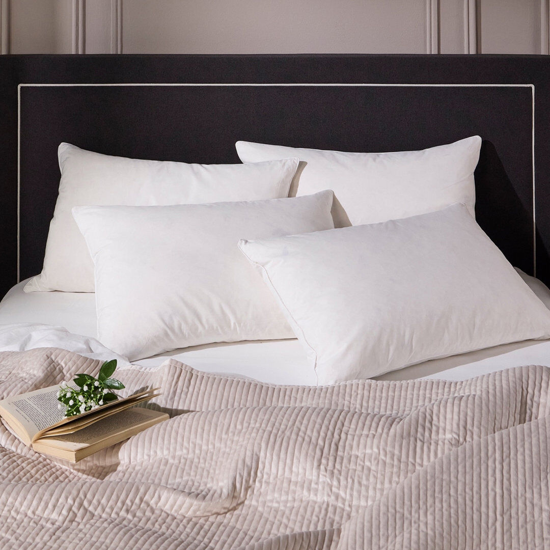 Luxurious Hotel Snuggledown Signature Goose Feather & Down Medium Support Back Sleeper Cotton Cover Pillow White Standard