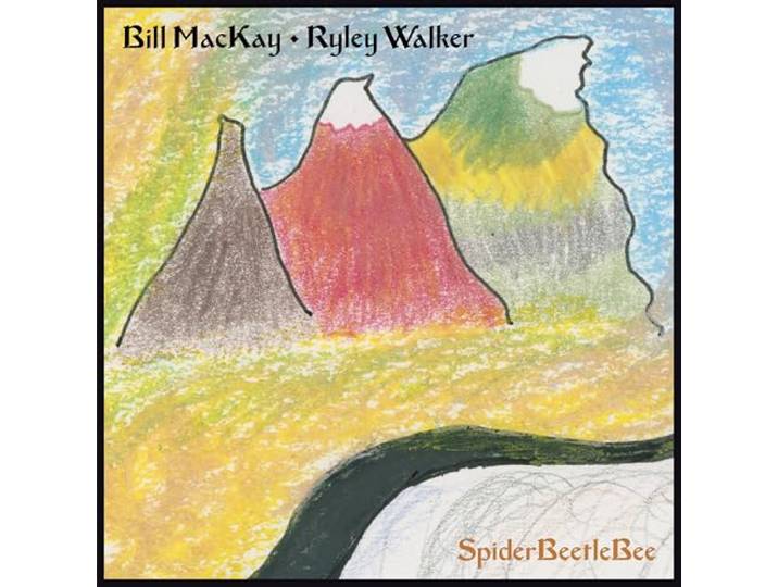 Bill MacKay & Ryley Walker - Spiderbeetlebee