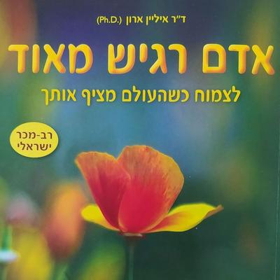 אדם רגיש מאוד - איליין ארון, Audio, 9789152194751