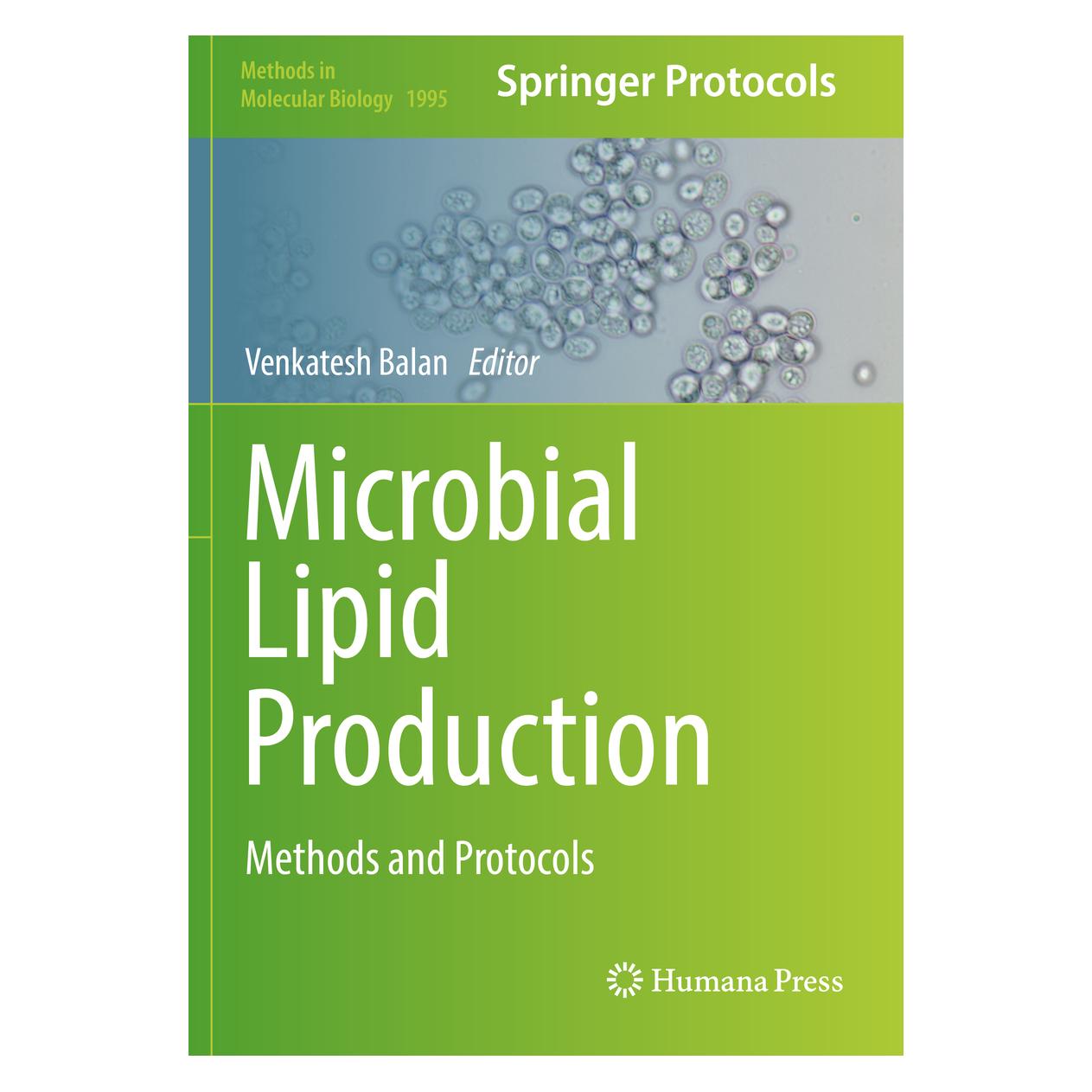 Springer Microbial Lipid Production (Englisch, Softcover, Venkatesh Balan) (56153429)