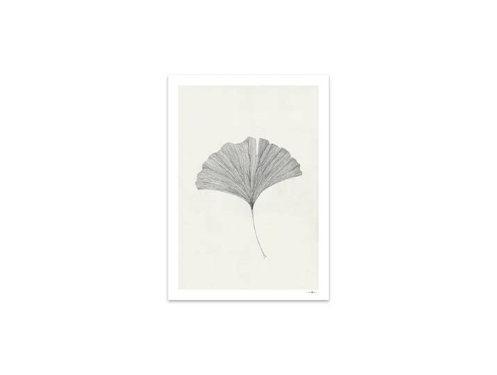The Poster Club - Ginkgo Leaf von Ana Frois, 30 x 40 cm