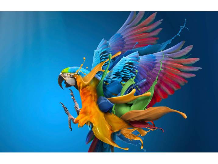 Fototapete PAPERMOON Photo-Art SULAIMAN ALMAWASH, BRAVOUR , bunt, B:4,5m L:2,8m, Vlies, Tapeten, Fototapete