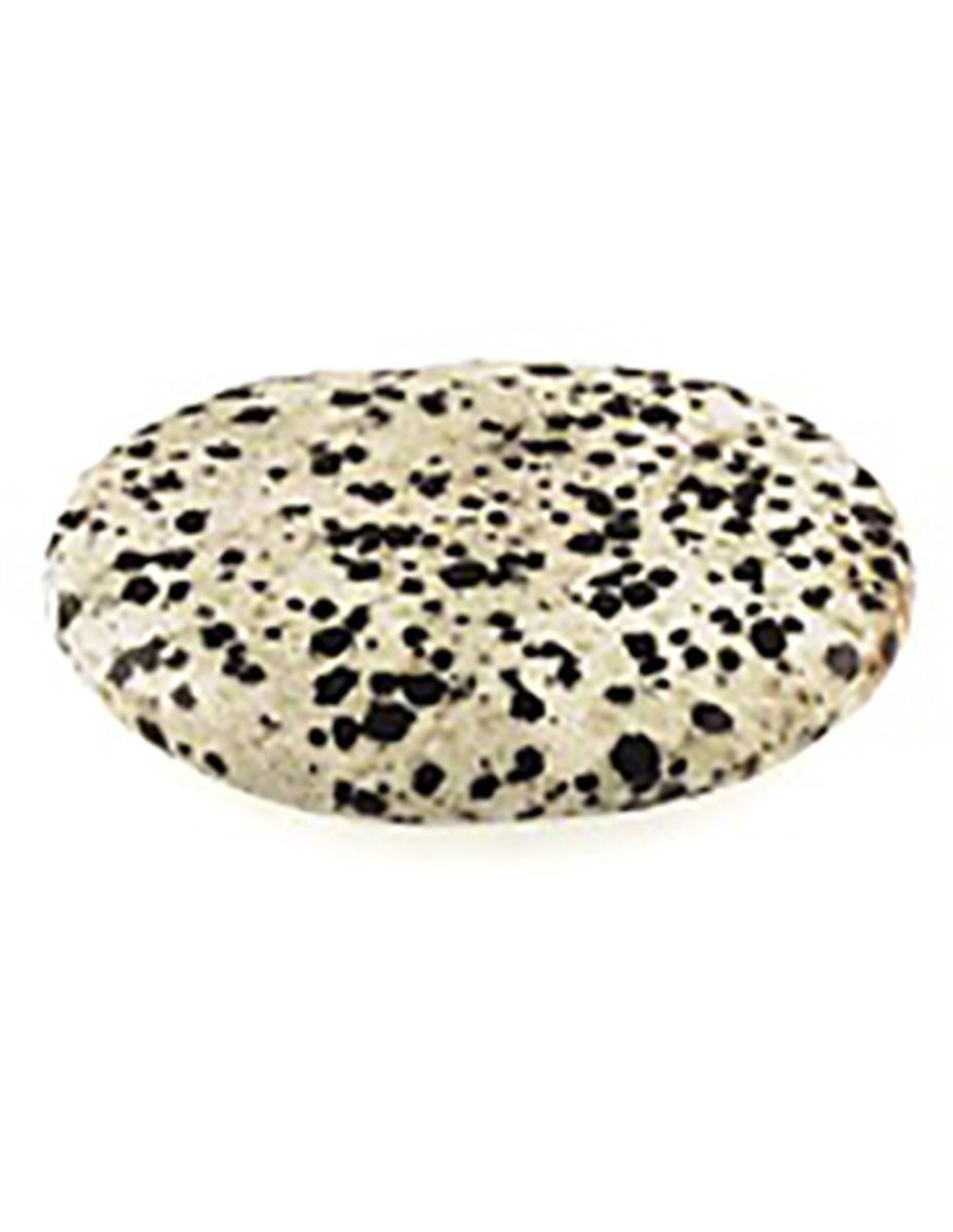 Ruben Robijn Jaspis dalmatiër zaksteen voor volwassenen