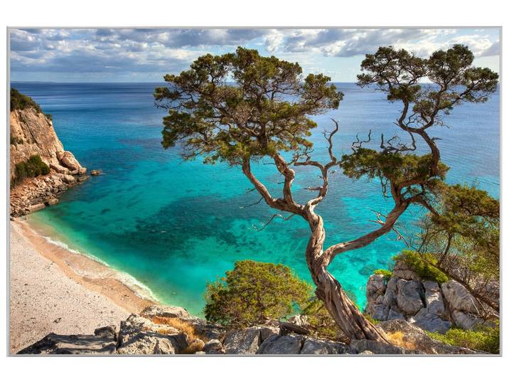 Bild mit Rahmen Steilküste mit Baum image LAND