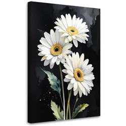 LEINWANDBILDER, Weiße Margarita Blumen auf schwarzem Hintergrund