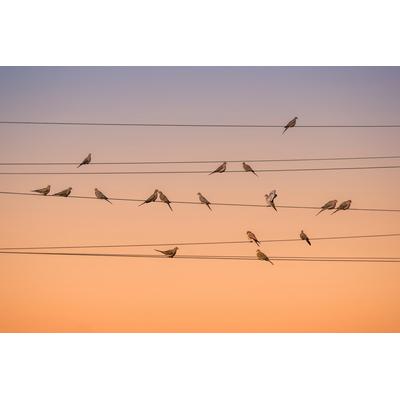 Fototapete PAPERMOON "Photo-Art JOHN FAN, MUSIK DES LICHTS", bunt, B:5m L:2,8m, Vlies, Tapeten