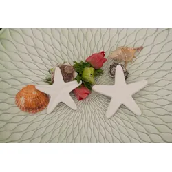 Seestern Deko 10cm liegend