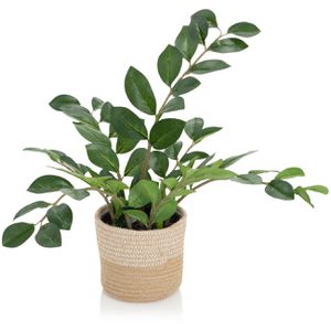 hJh-OFFICE Kunstpflanze Zamie Zamioculcas, im Topf, Höhe 50 cm