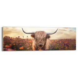 Bild SPRING HIGLANDER (BHT 156x52x3 cm) - bunt - BHT 156x52x3 cm