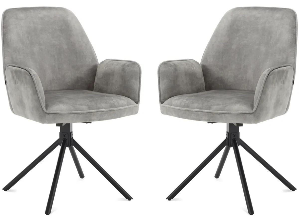 Set van 2 Benoa Noah armleunstoelen - Grijs