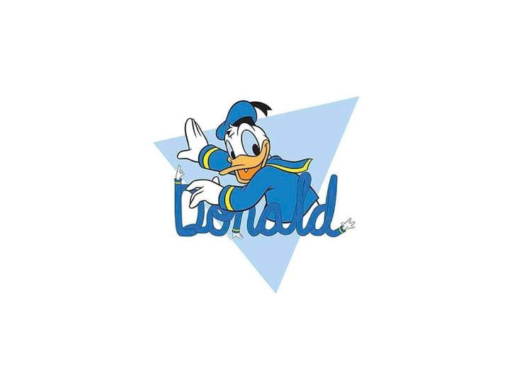 Bild KOMAR Donald Duck Triangle , bunt (farbe bild(er): bunt), B:30cm H:40cm, Holz, Papier, Bilder, Bild, Wandbild zur Dekoration im Kinderzimmer - ohne Rahmen