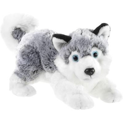 Heunec - Softissomo - Husky liegend