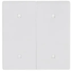 Busch-Jaeger Wippe 2-fach 2570-20-884