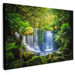 LEINWANDBILD Dschungel - Wasserfall - Australien - Pflanzen - Natur Wanddeko 90x60 cm