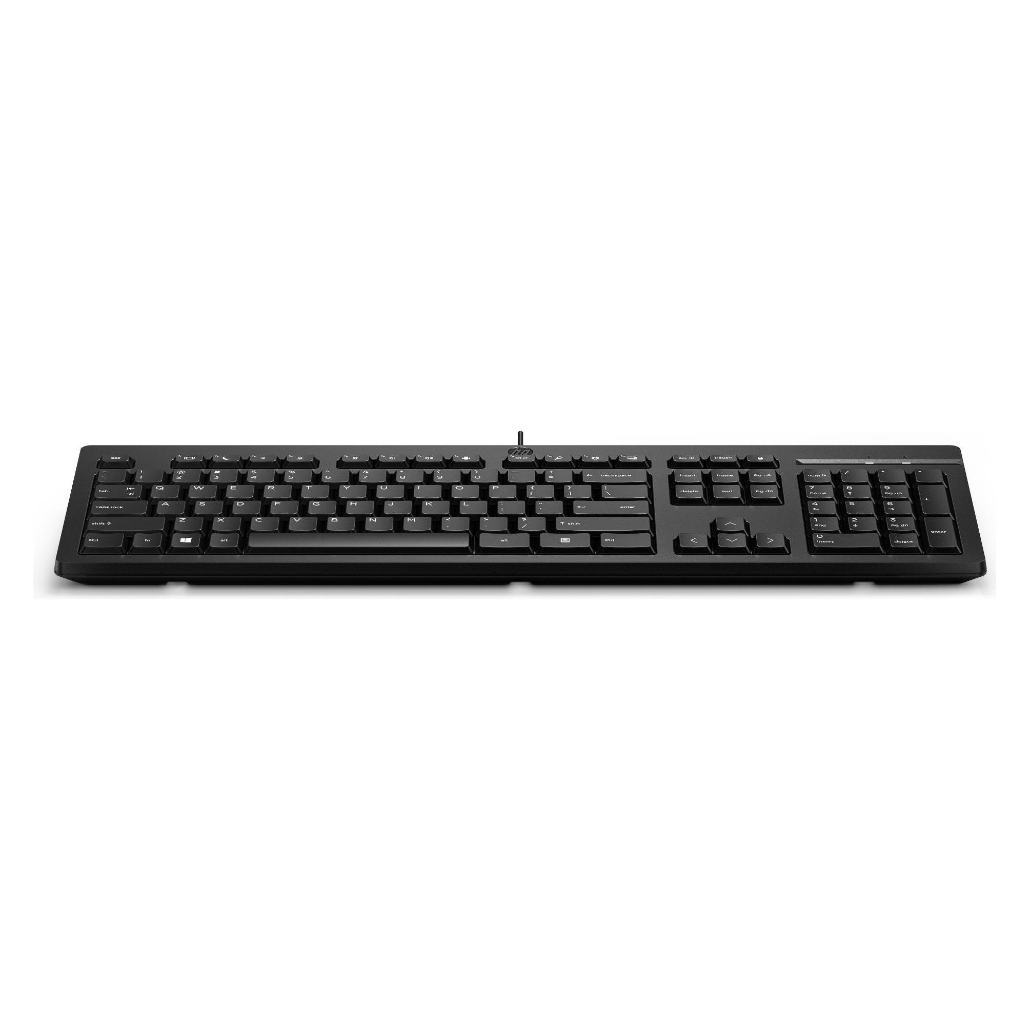 HP 125 USB Wired Keyboard Used (DE, Kabelgebunden) (266C9A6#ABB)