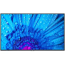 NEC MultiSync M491 PCAP 4K UHD Touch Display 124 cm (49")