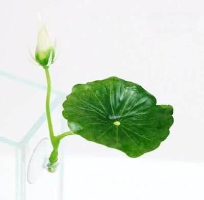 Uplift Essentials Betta Fish Resting Leaf Hammock With Suction Cup style A3