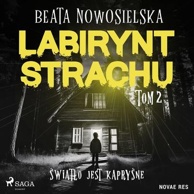 Labirynt strachu. Tom 2. Światło jest kapryśne - Beata Nowosielska, Audio, 9788728577691