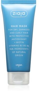 Ziaja Antioxidant Care Hair Mask máscara para cabelo 100 ml. Antioxidant Care Hair Mask