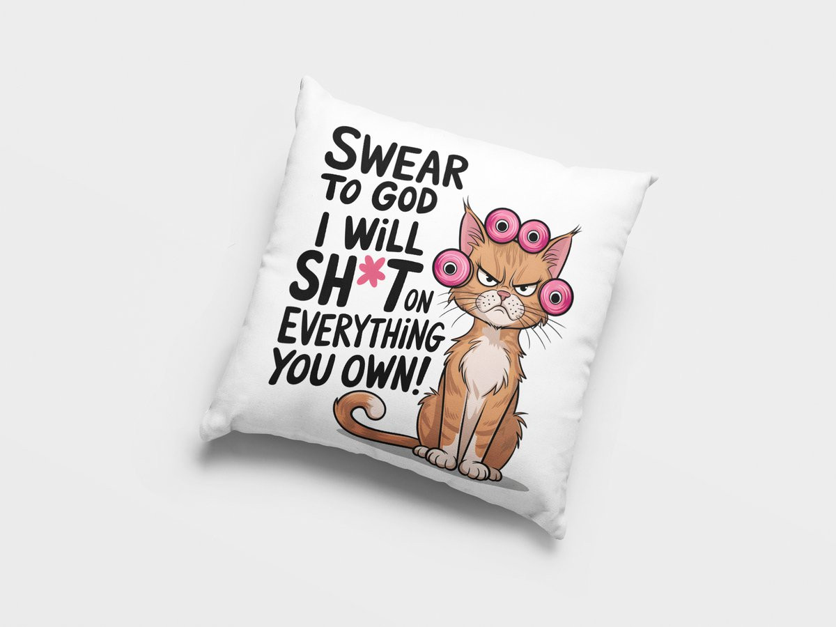 Humoristisch Katten Sierkussen met Sarcastische Tekst en Boze Kat Decoratie voor Dierenliefhebbers
