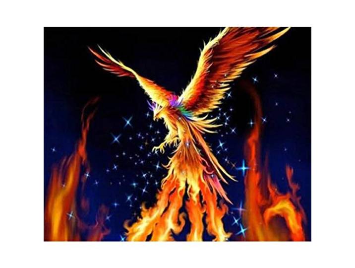 Yingxin34 Puzzle 5000 Teile Vogel in Flammen Puzzle Für Erwachsene Und Kinder Ab 14 Jahren-61.61x41.53 Zoll (156.5 x 105.5cm)