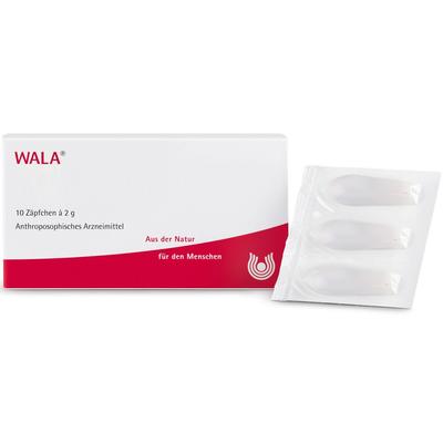 Mercurialis COMP.Suppositorien 10x2 g Suppositorien