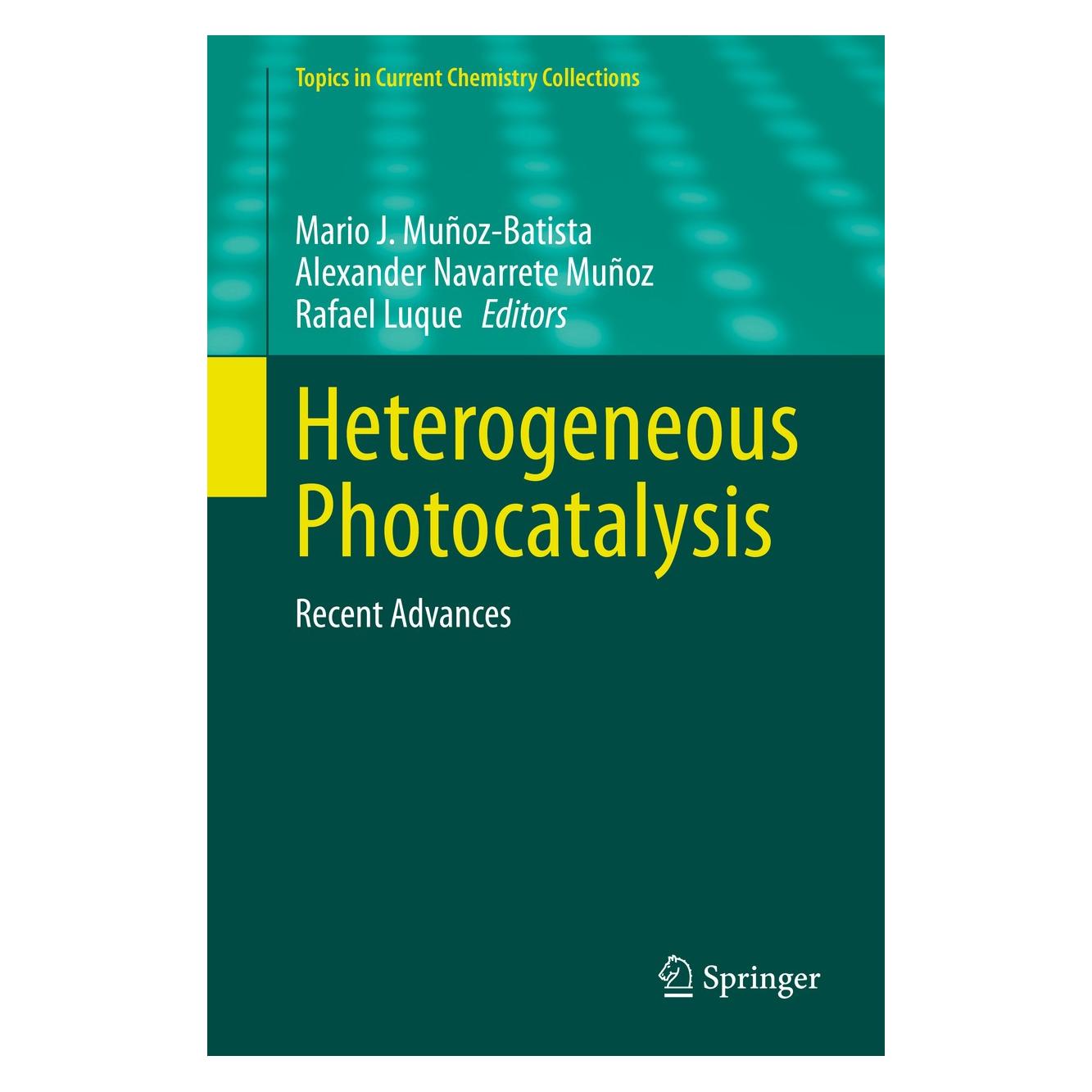Springer Heterogeneous Photocatalysis (Englisch, Hardcover, Alexander Navarrete Muñoz, Mario J. Muñoz-Batista, Rafael Luque) (9783030494919)