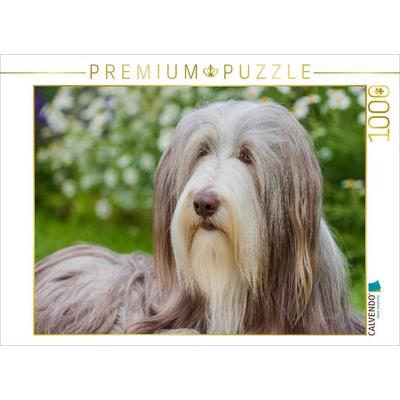 CALVENDO Puzzle Bearded Collie Hündin | 1000 Teile Lege-Größe 64x48cm Foto-Puzzle für glückliche Stunden