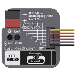 Busch-Jaeger 2CDG510024R0021 1 St.