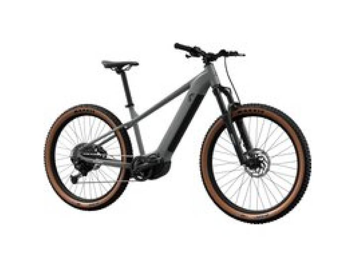 Vélo électrique Tout Terrain (taille XL)