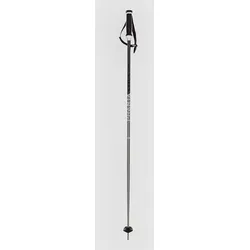 Völkl Phantastick 16mm Poles 2025 Skistöcke white Gr. 110