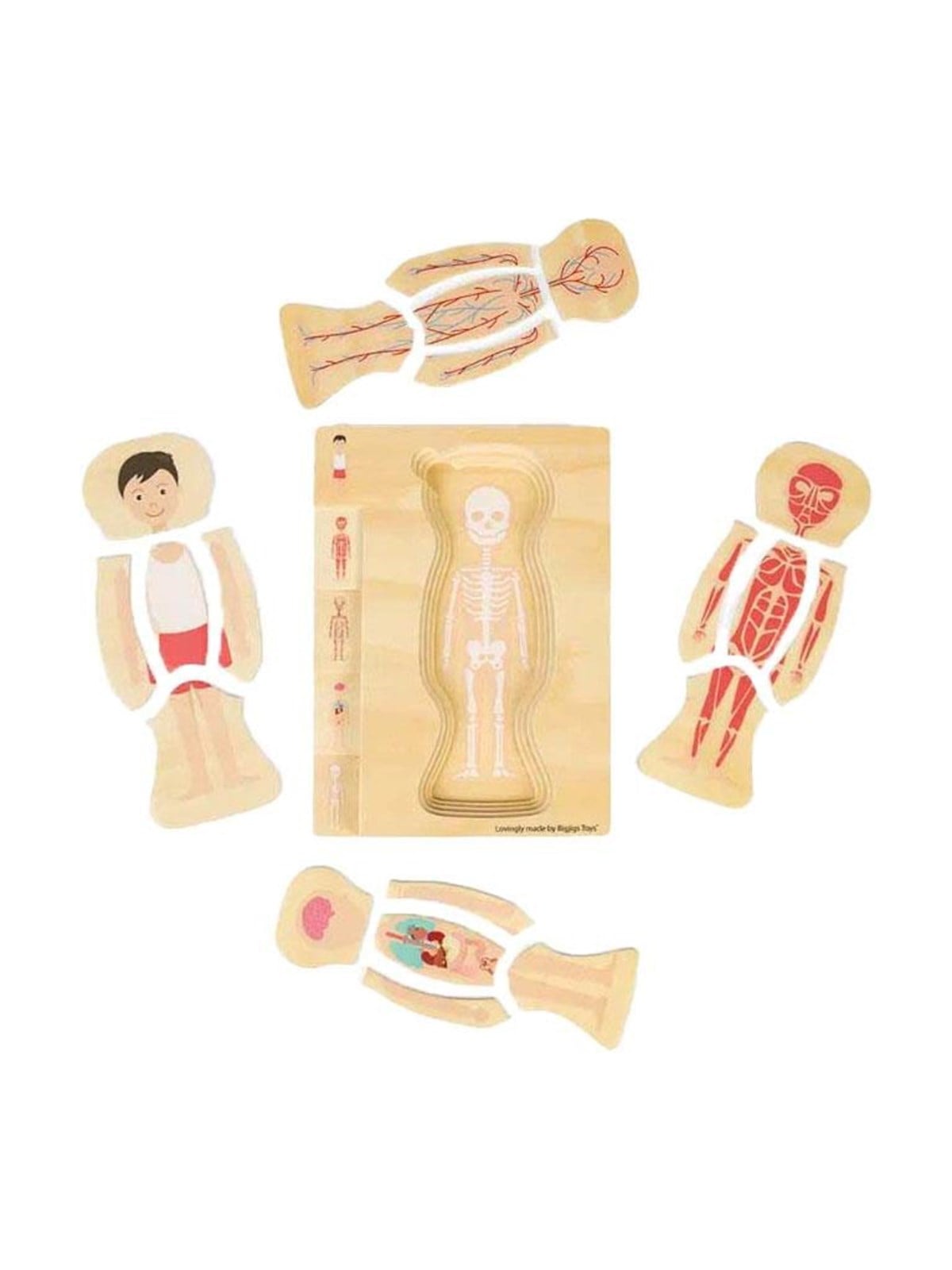 Bigjigs Wooden Anatomy Puzzle - Boy 26pcs.
